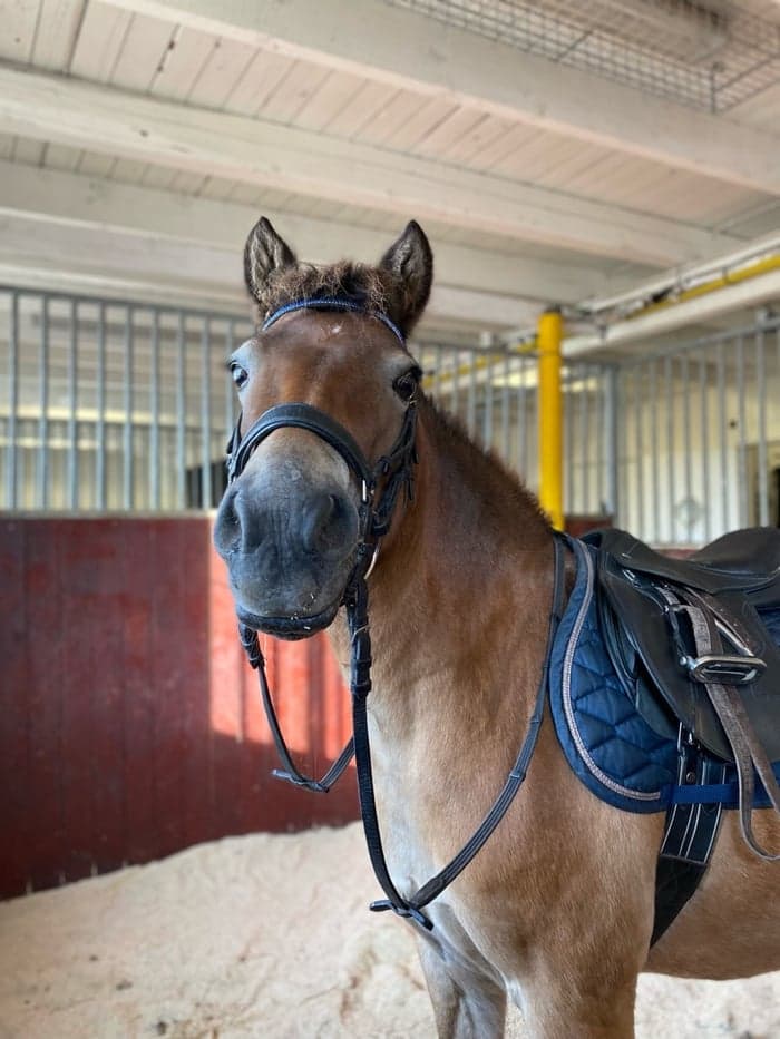 Media 1 av Babsan 5819