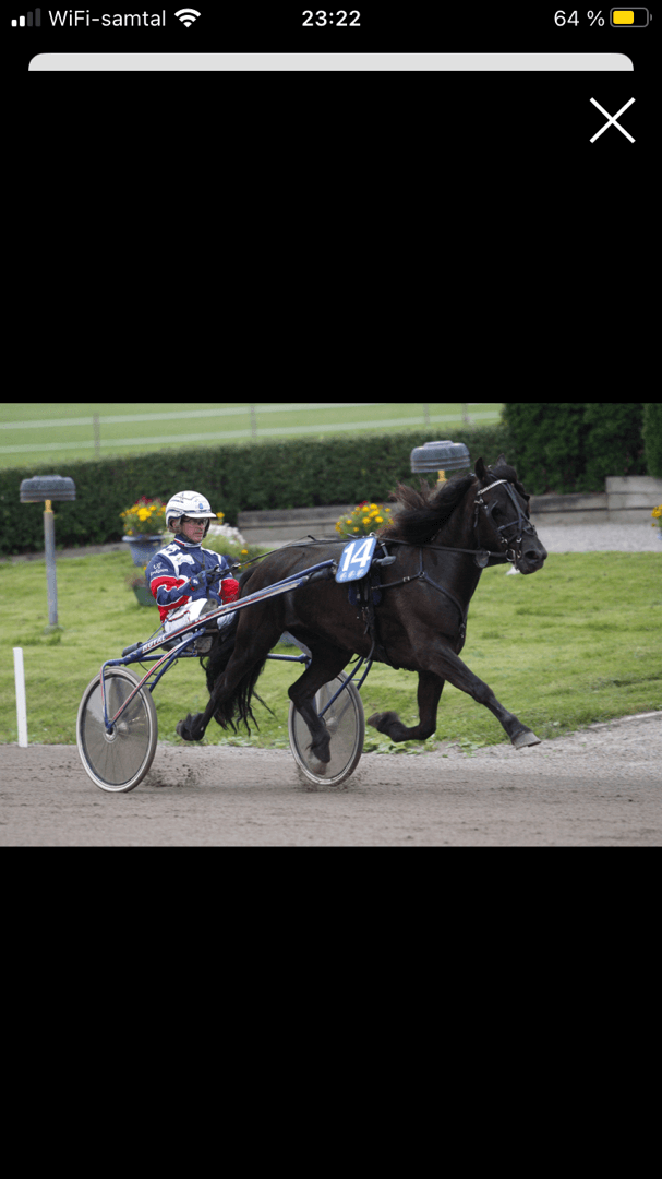 Bild 1 av placeholder text