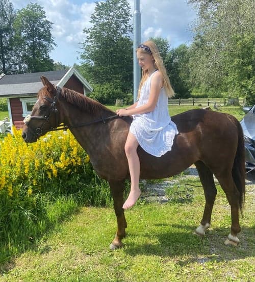 Bild av Fin Läromästare