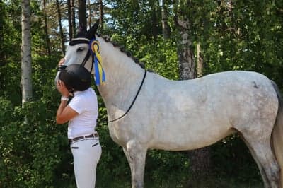 Inlägg 73 av Allround