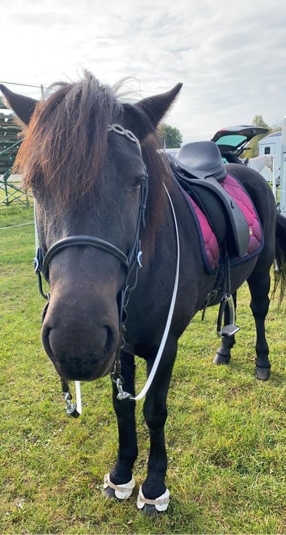 Media 1 av Sigurdís från Granmyra