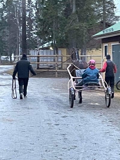 Inlägg 16 av Avel med titeln Med vagn första gången ❤️