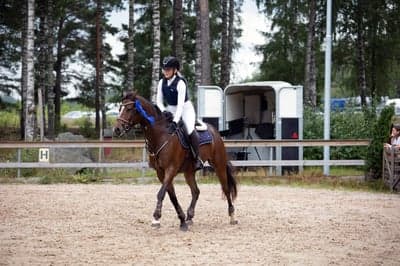 Inlägg 197 av Hoppning