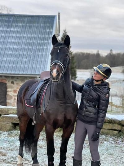 Hagas Lewis Brewster