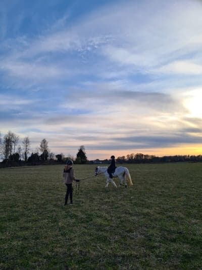 Inlägg 26 av Allround med titeln Clic