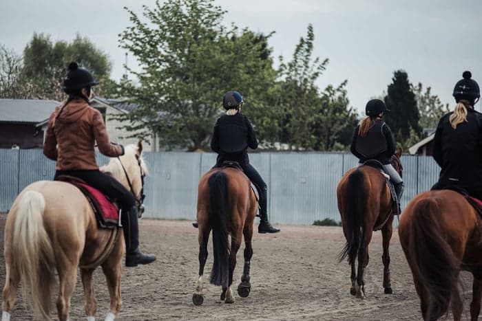 Media 3 av Testa träna galopp på Jägersro