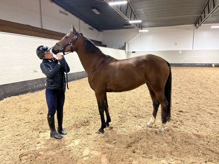 Media 1 av Silence-V