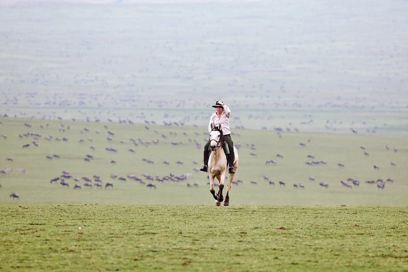 Bild 3 av  Ridsafari genom gnuvandringen i Serengeti – 8 nätter i Tanzania