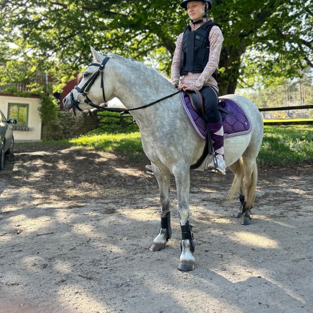 Bild 1 av Humlebäcks Brienna