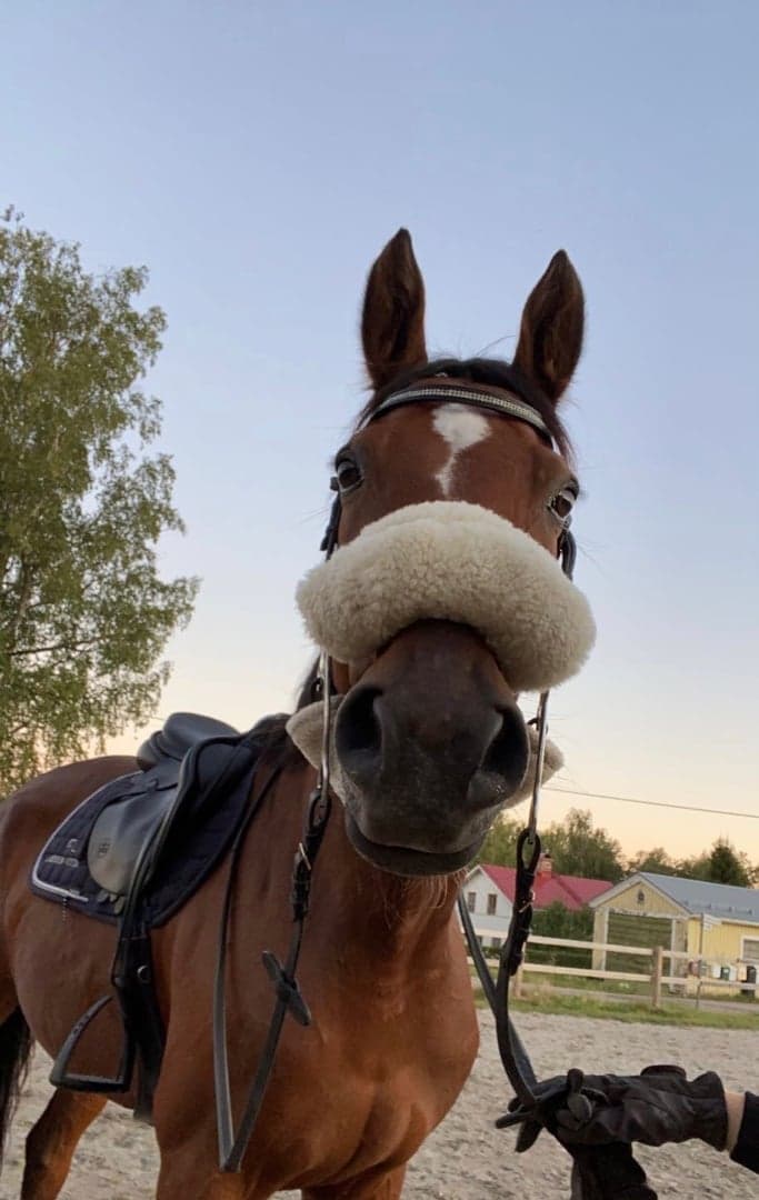 Media 1 of First March