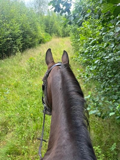 Inlägg 7 av Allround