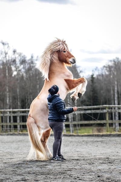 Inlägg 14 av Allround