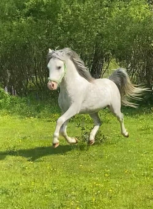 Bild av En framtida stjärna! 