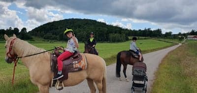 Inlägg 3 av Quarterhäst med titeln Familjedag 👨‍👩‍👦‍👦