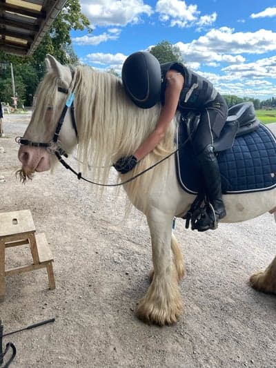 Inlägg 5 av Irish Cob med titeln Min kompis och ice❤️