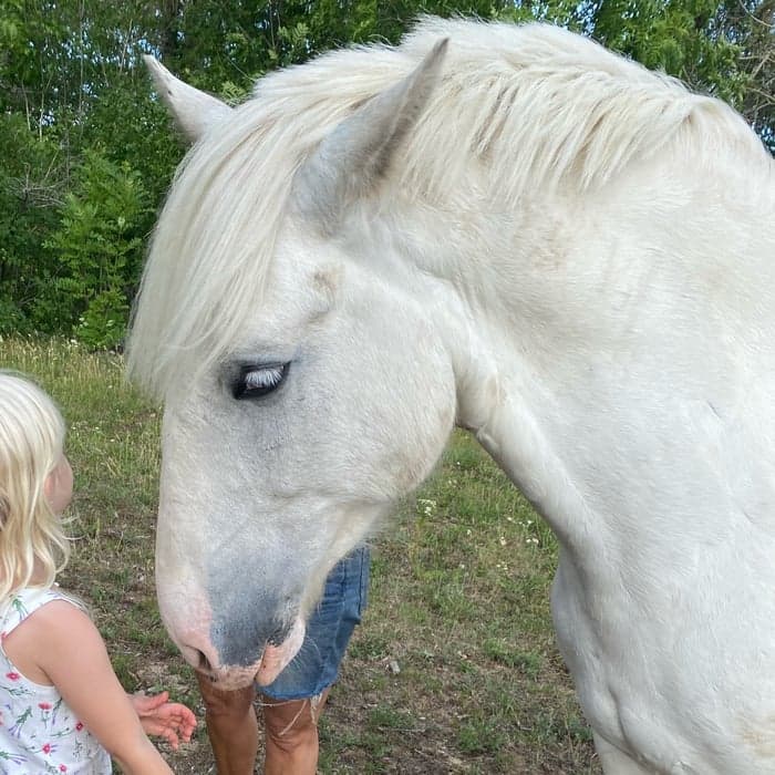 Media 1 av Captain Cluro