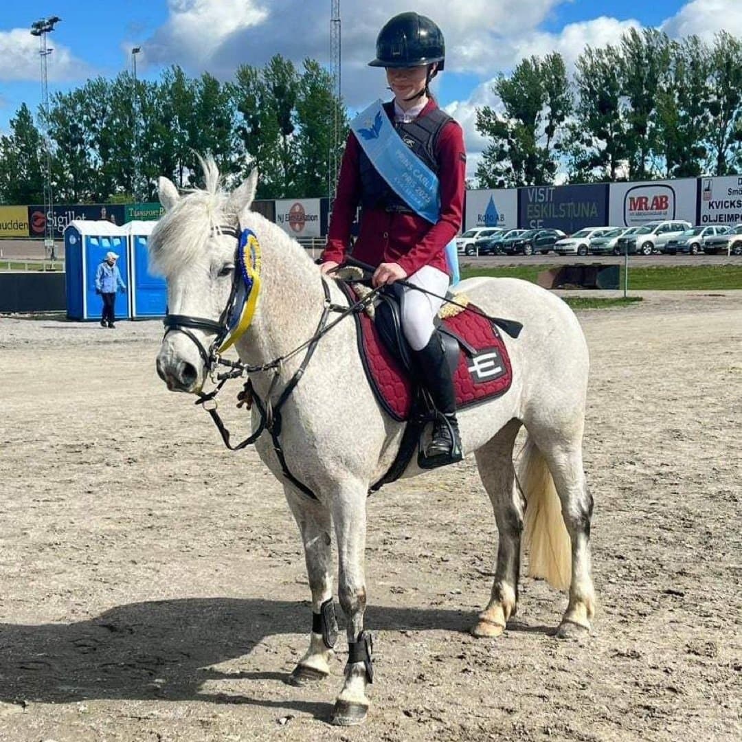 Bild 1 av Dexters Lady