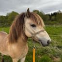 Profile picture of Vindbackas Ragnar