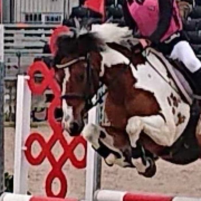 Media 1 av My Apache Warrior Boy