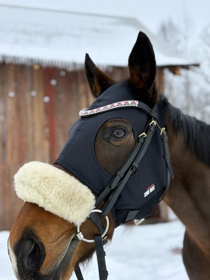 Media 1 av Haweswater