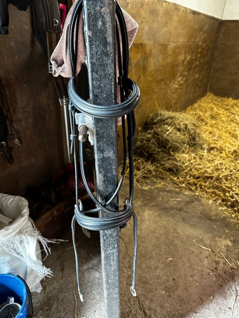 Image 1 of Svart bettlöst träns