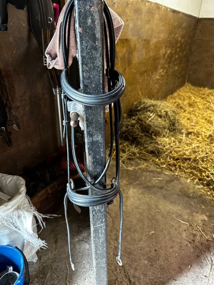 Media 1 of Svart bettlöst träns