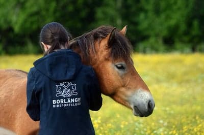 Inlägg 33 av Allround med titeln Sommarlov 