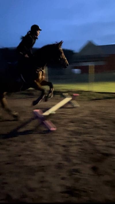 Inlägg 49 av Allround med titeln 🐎