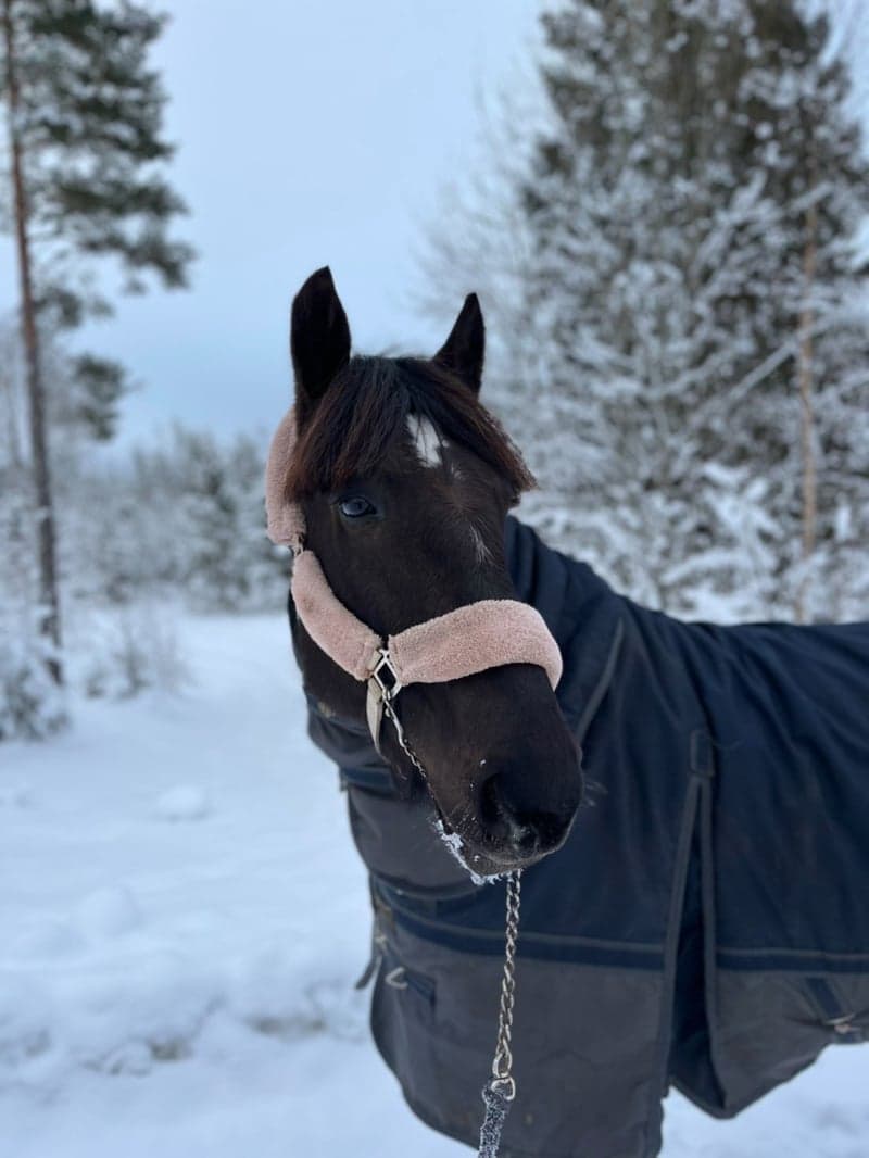 Bild 2 av G.G. Utopia