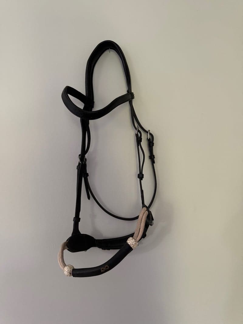 Bild 2 av Dy’on bettlöst träns