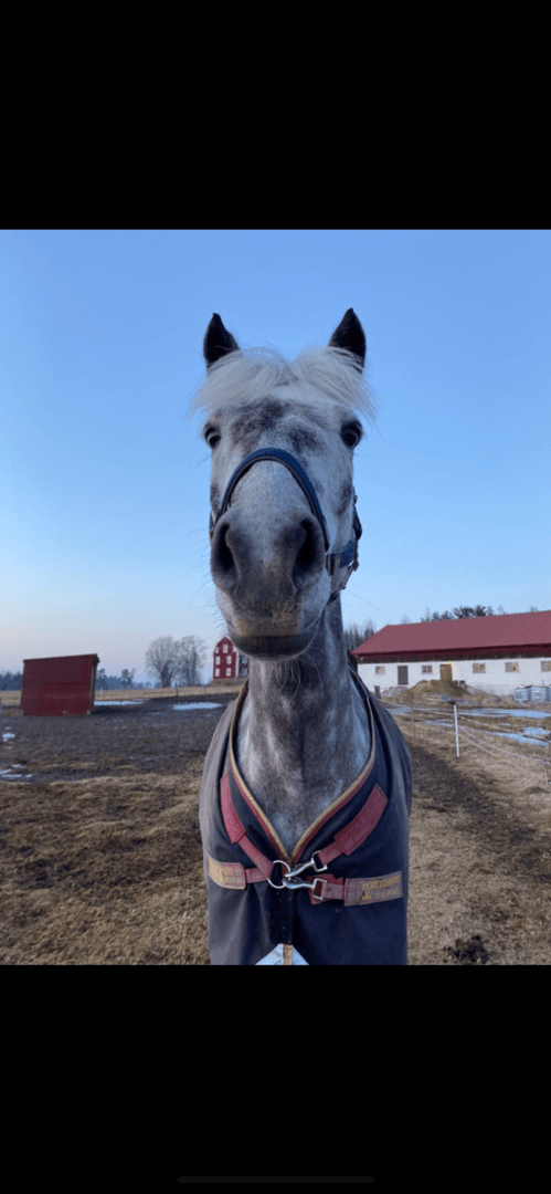 Media 1 av Carrowmarble Twentyfive