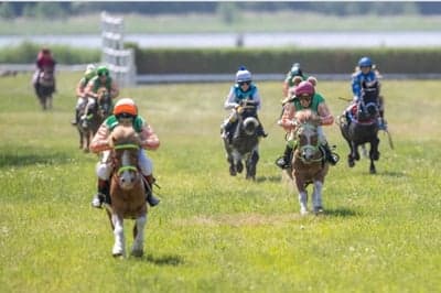 Inlägg 95 av Galopp