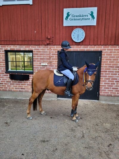 Inlägg 472 av Hoppning