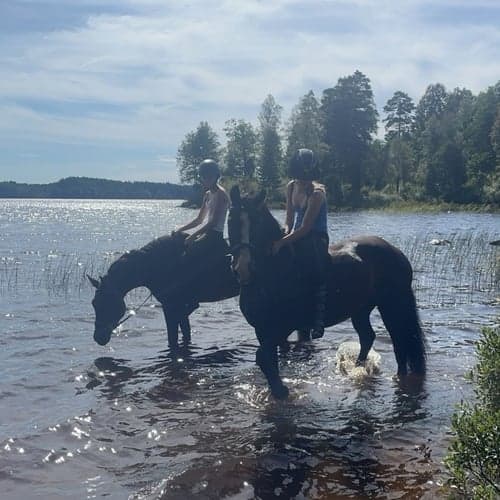 Profilbild av Julia Lindh