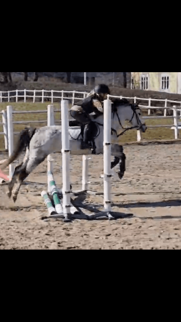 Image 1 of Arhults Ernst