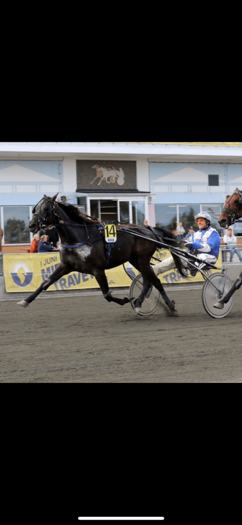 Bild 3 av Glace au Four