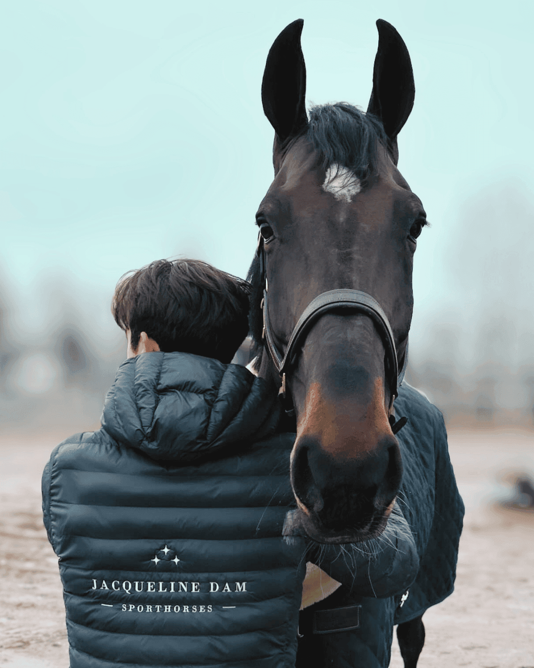 Bild 1 av Problemlösning & rehab - vi hjälper hästar med utmaningar 