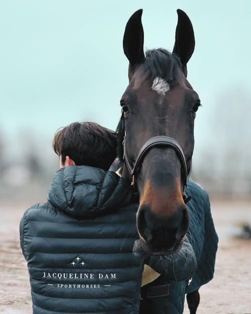 Problemlösning & rehab - vi hjälper hästar med utmaningar 