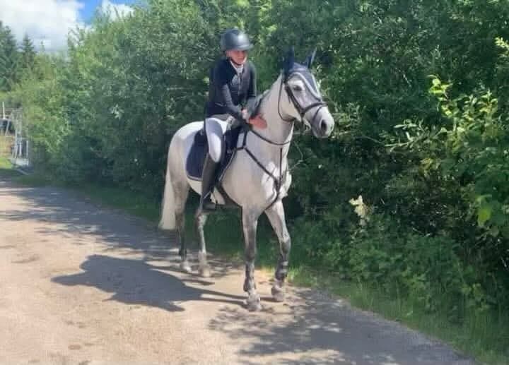 Bild 3 av Karoline Kærlund