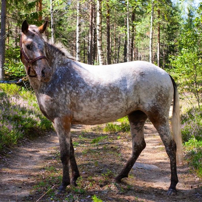 Media 1 av Anna-Lisa