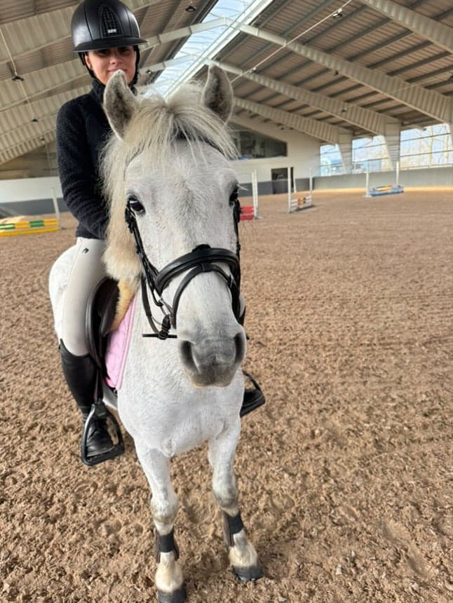 Bild 2 av Charmig B-ponny med hoppkapacitet