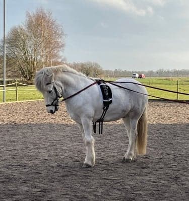 Bild 1 av placeholder text