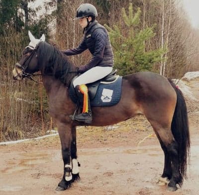 Inlägg 73 av Allround med titeln Hopptävling 