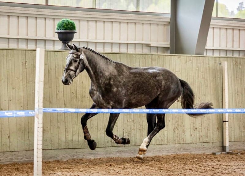 Bild 3 av Panamera E