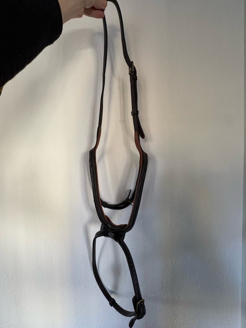 Bild 3 av Brun pullarnosgrimma