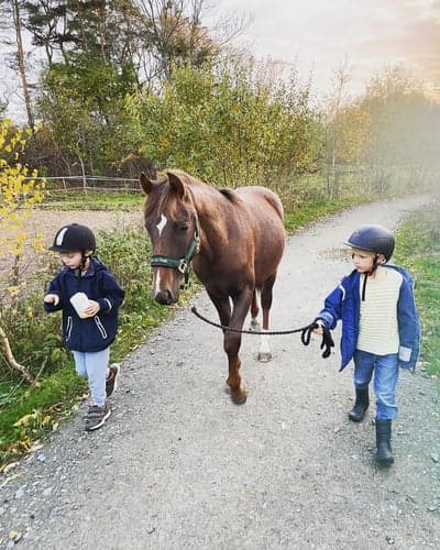 Inlägg 114 av Allround med titeln Jag Kaj och Wilmer