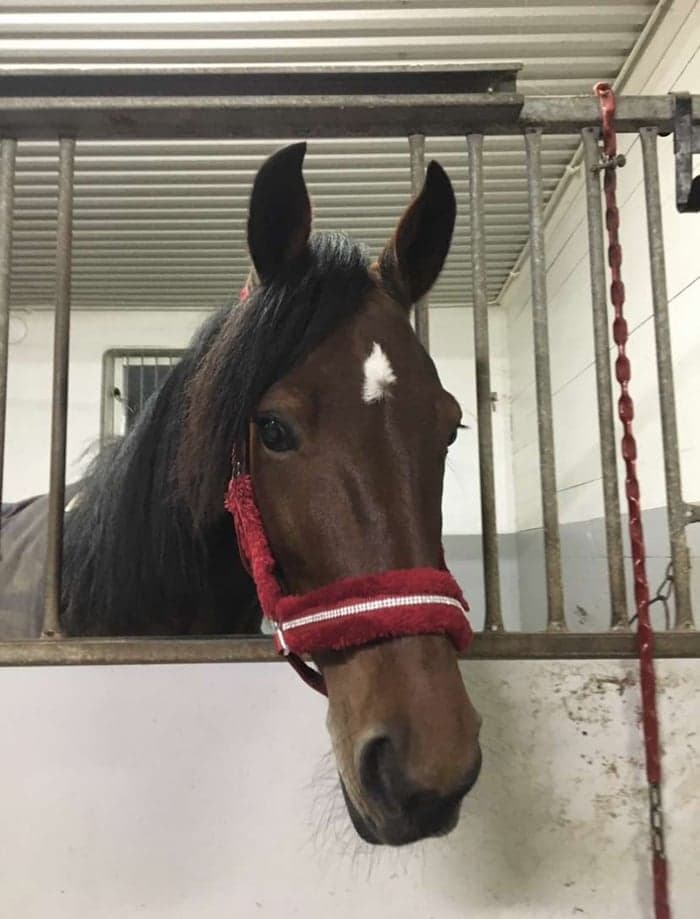 Media 1 av Global Valuation