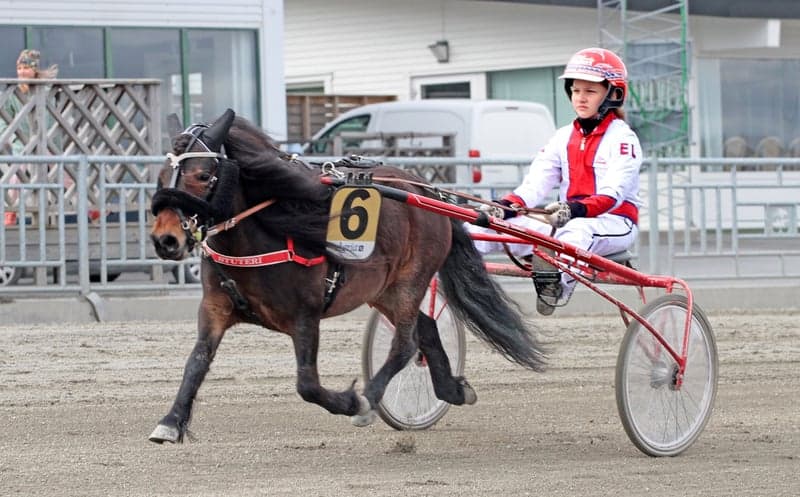 Bild 2 av Gullsmyras Böna
