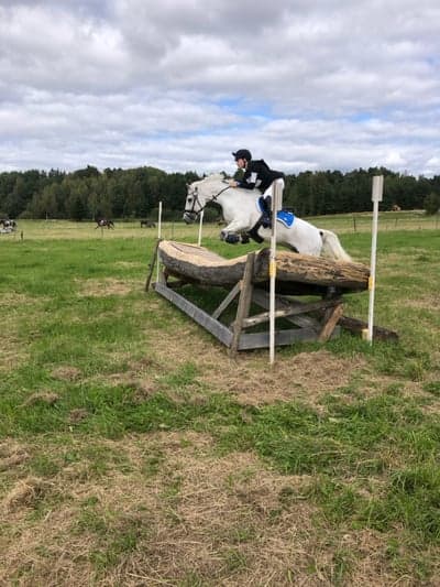 Inlägg 20 av Allround med titeln ❤️❤️