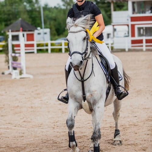 Profilbild av Felicia Erlandsson
